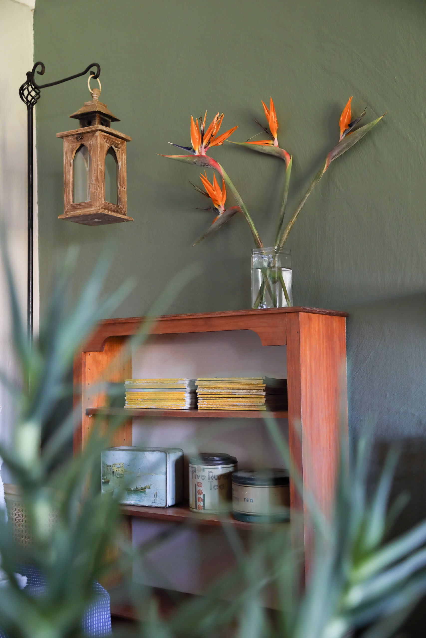 Family suite (6)